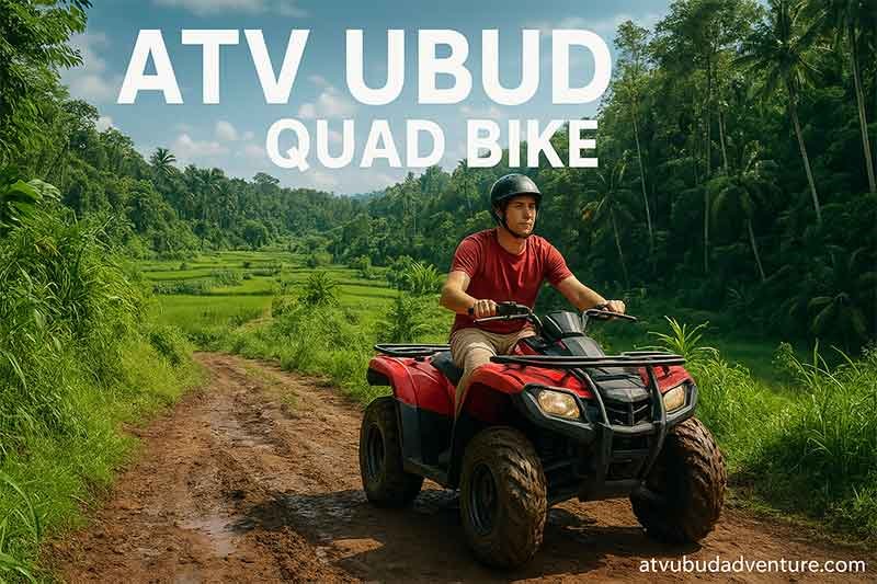 atv ubud quad bike