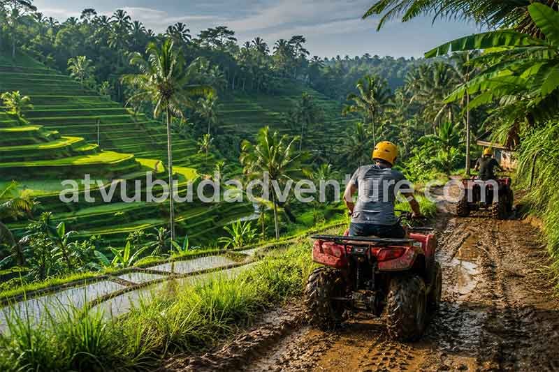 bali rice terraces guide